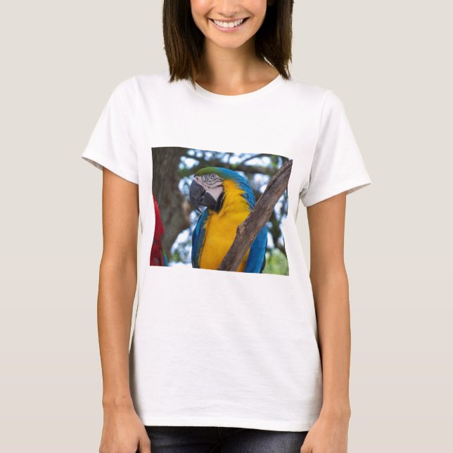 Camiseta Macao tropical amarillo verde y azul (Anverso)