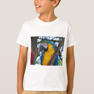 Camiseta Macao tropical amarillo verde y azul
