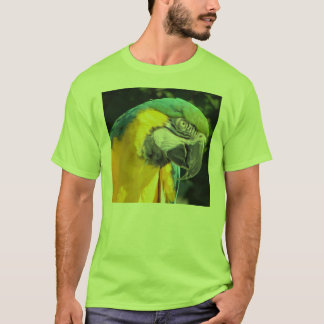 Camiseta Macaw del azul y del oro