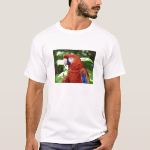 Camiseta Macaw del escarlata