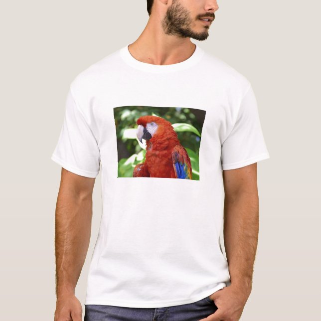 Camiseta Macaw del escarlata (Anverso)