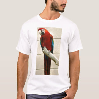 Camiseta Macaw del escarlata