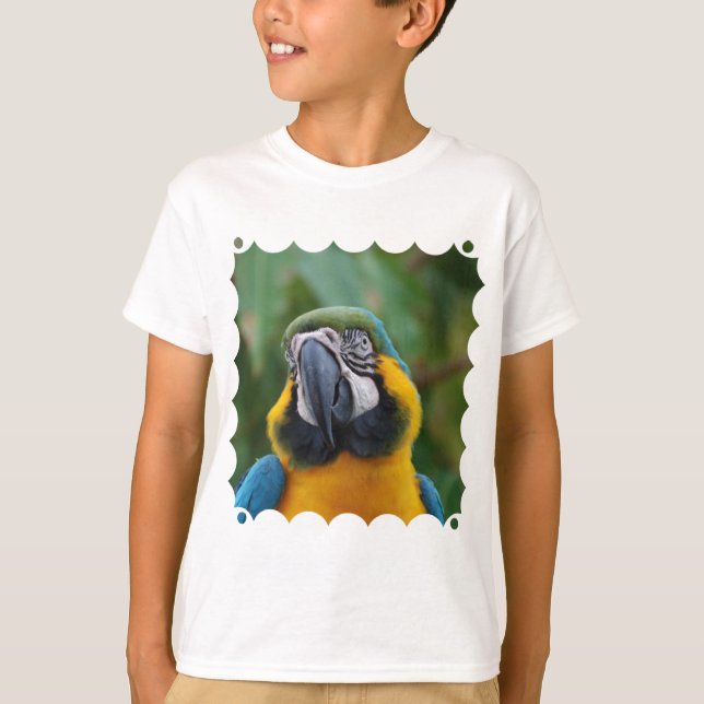 Camiseta Macaw dulce del azul y del oro (Anverso)