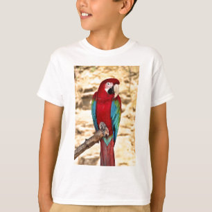 Camiseta Macaw rojo y verde