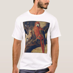 Camiseta Macaw y Bullfinch