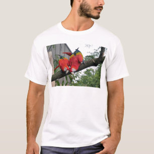 Camiseta Macaws Rojos 1.JPG