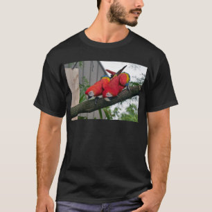 Camiseta Macaws Rojos 2.JPG