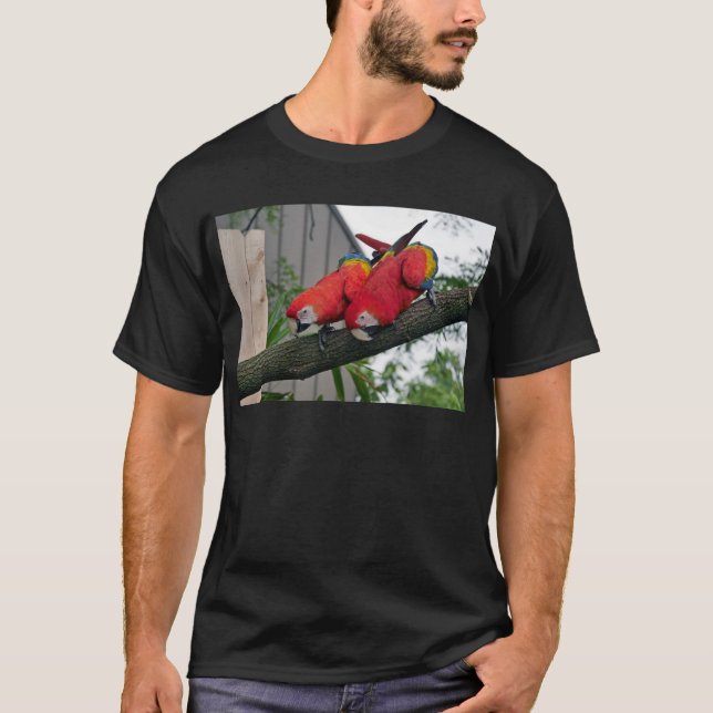 Camiseta Macaws Rojos 2.JPG (Anverso)