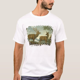Camiseta Macho y trasero en un paisaje enselvado