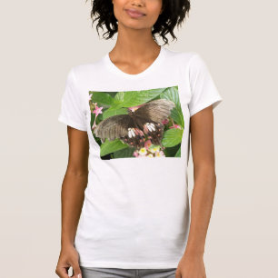 Camiseta Macra de mariposa de cola de cerda de escarlata
