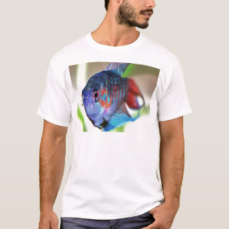 Camiseta Macropodus Opercularis Aquarium Fish