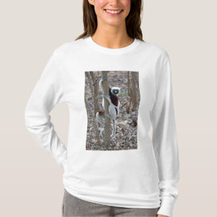 Camiseta Madagascar, Reserva Ankarafantsika; Ampijoroa;
