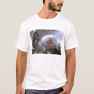 Camiseta Madre e hijo del mono de nieve, Jigokudani, Nagano