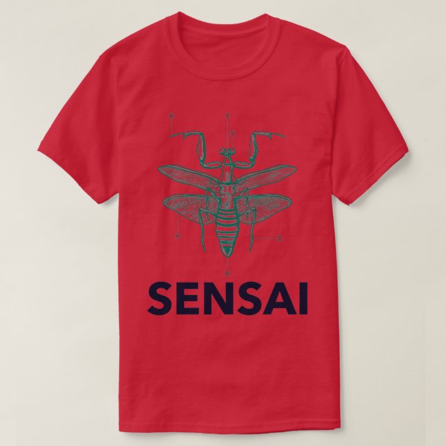 Camiseta Maestro de oraciones (Diseño del anverso)