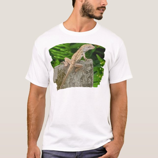 Camiseta Maestro del Camuflaje (Anverso)