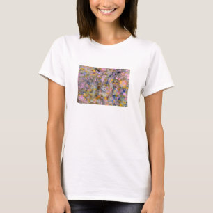 Camiseta Magia de hadas