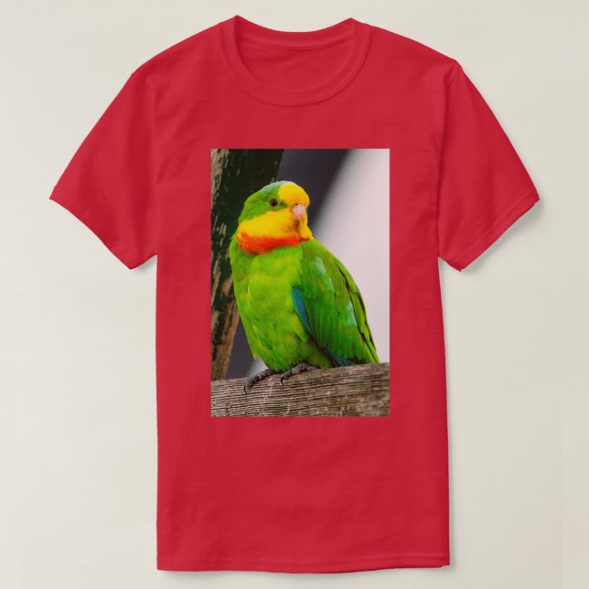 Camiseta Magnífico loro 1 (Diseño del anverso)