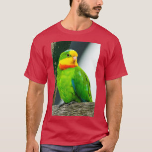 Camiseta Magnífico loro 1