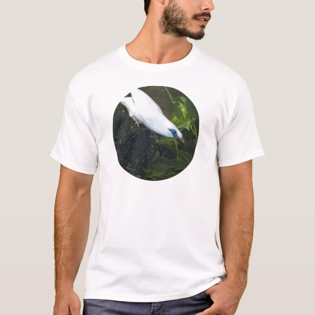 Camiseta Mainá de Bali (Anverso)