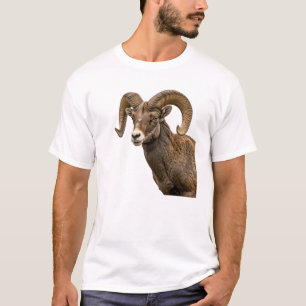 Camiseta Majestuosa oveja bighorn en la ladera de las rocas