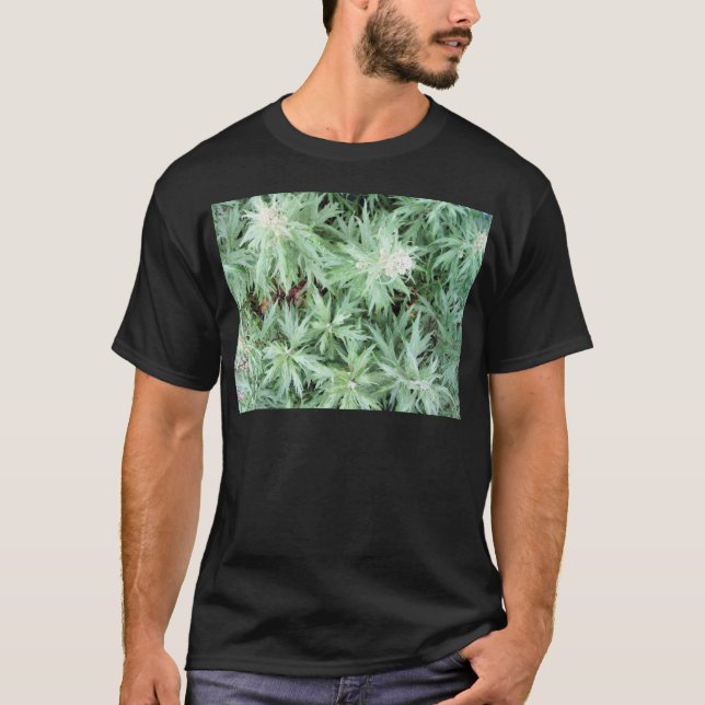 Camiseta mala hierba del hedor (Anverso)