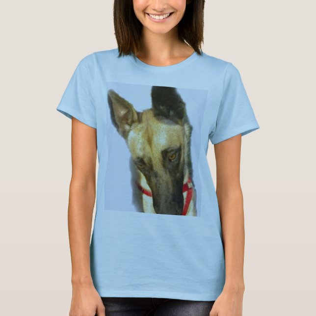 Camiseta Malanois belgas (Anverso)