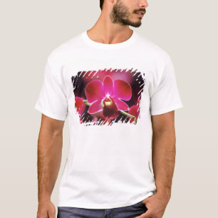 Camiseta Malasia, Orquídea