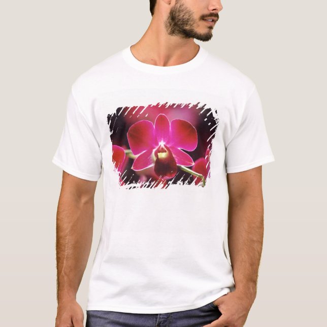 Camiseta Malasia, Orquídea (Anverso)