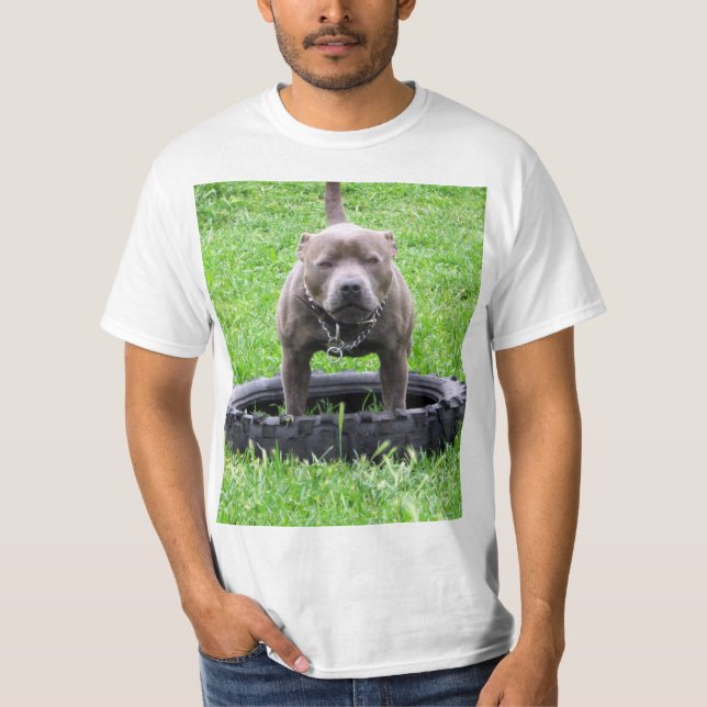 Camiseta Malé adulto Staffordshire Bull Terrier, (Anverso)