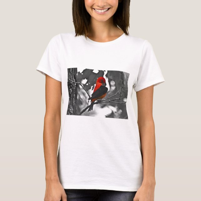 Camiseta Male Scarlet Tanager (Anverso)