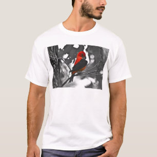 Camiseta Male Scarlet Tanager