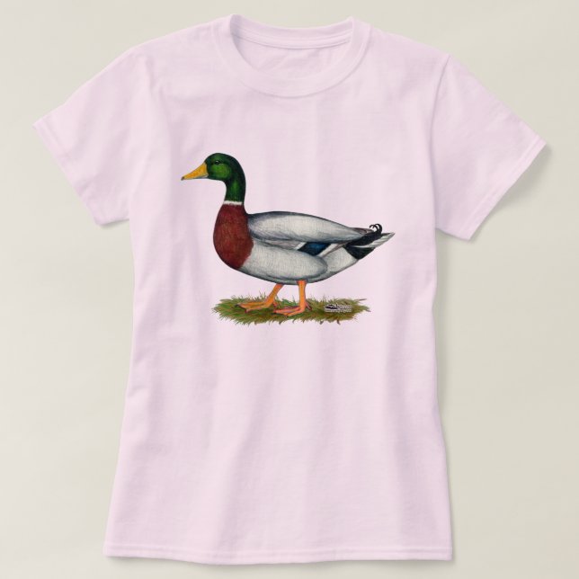 Camiseta Mallard Duck Drake (Diseño del anverso)
