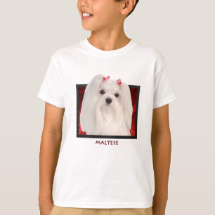 Camiseta Maltés