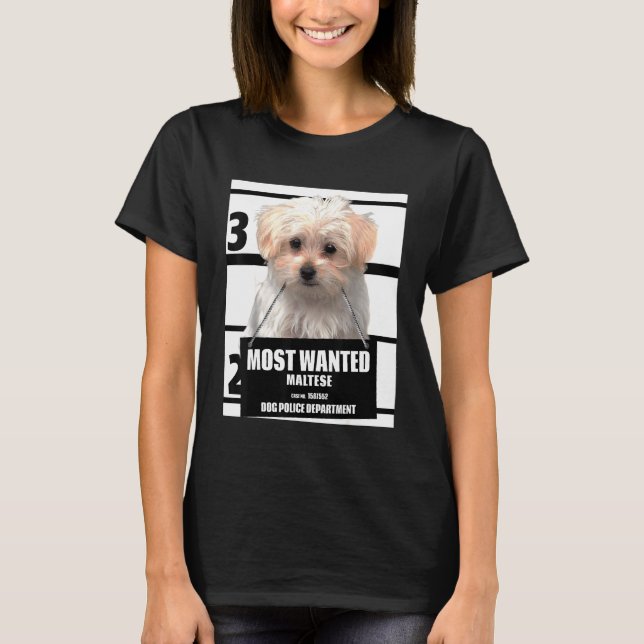 Camiseta Maltés más buscado (Anverso)