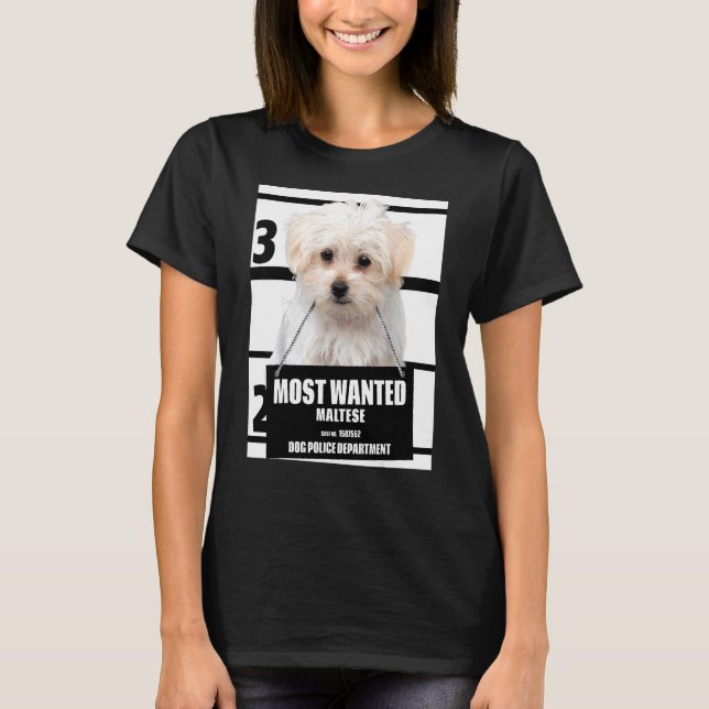 Camiseta Maltés más buscado (Anverso)