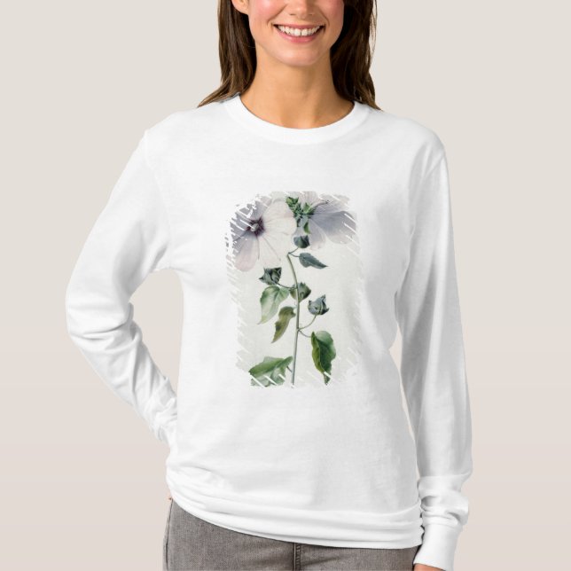 Camiseta Malva de almizcle, siglo XVIII (Anverso)