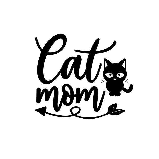 Camiseta Mamá Gata  (A playful, animated scene unfolds with a close-up of a white t-shirt featuring a whimsical design.)