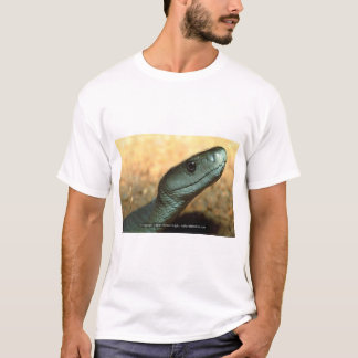 Camiseta Mamba negra