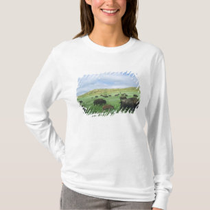 Camiseta Manada de bisontes pastan hierba de pradera en The
