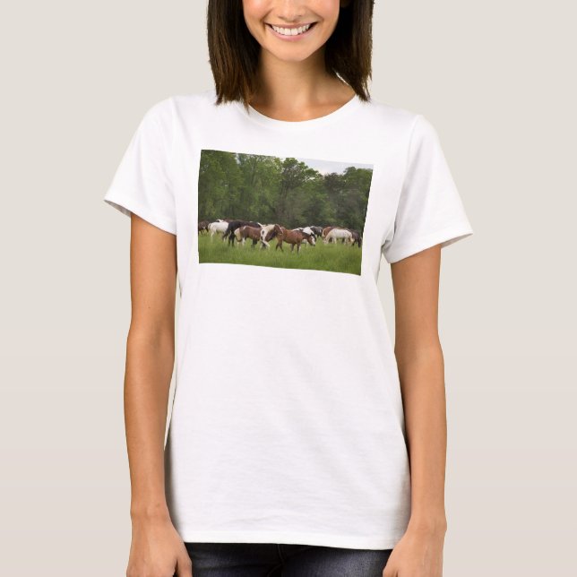 Camiseta Manada de caballos, Tennessee (Anverso)