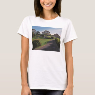 Camiseta Mañana 2013 de Ana del cabo