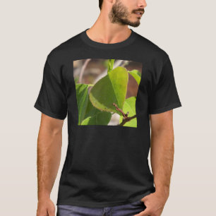 Camiseta mañana Dew sobre hojas de sebo chinas
