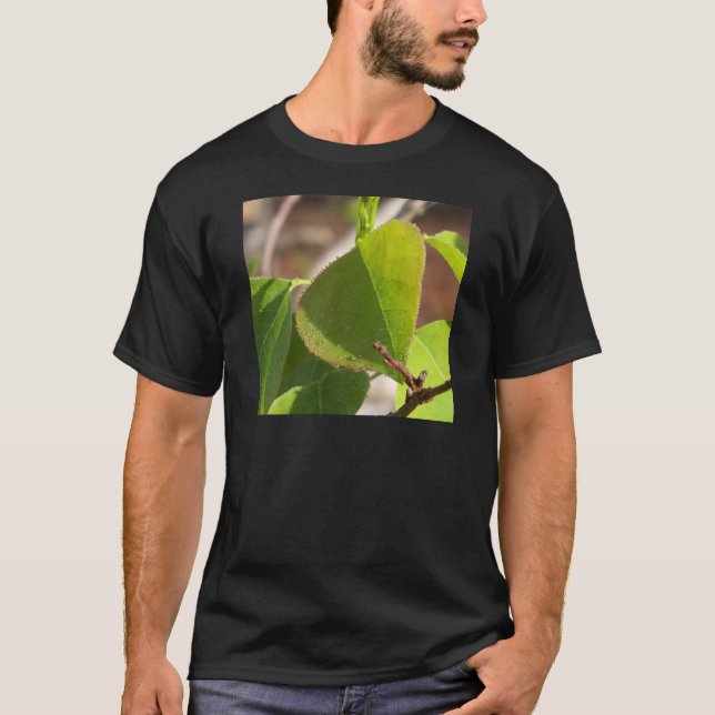 Camiseta mañana Dew sobre hojas de sebo chinas (Anverso)