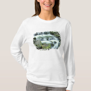Camiseta Manantial de helechos, Parque nacional de Yosemite