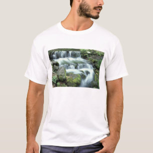 Camiseta Manantial de helechos, Parque Nacional Yosemite