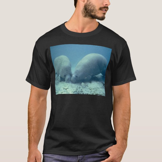 Camiseta Manatee (Anverso)