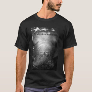 Camiseta Manatus de Trichechus