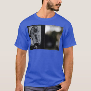 Camiseta manchado