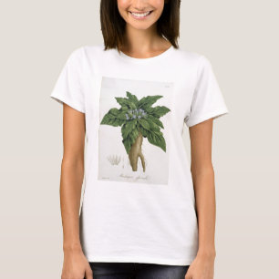 Camiseta Mandragora Officinarum de 'Phytographie Medicale