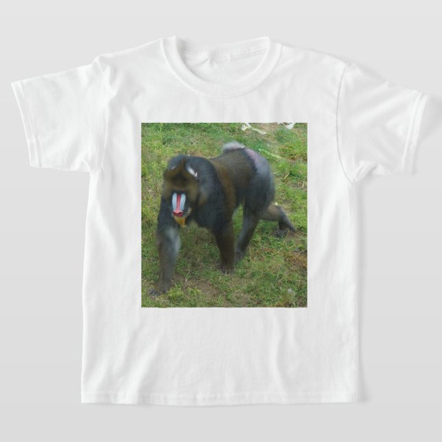 Camiseta Mandrill #5 (Distribución)